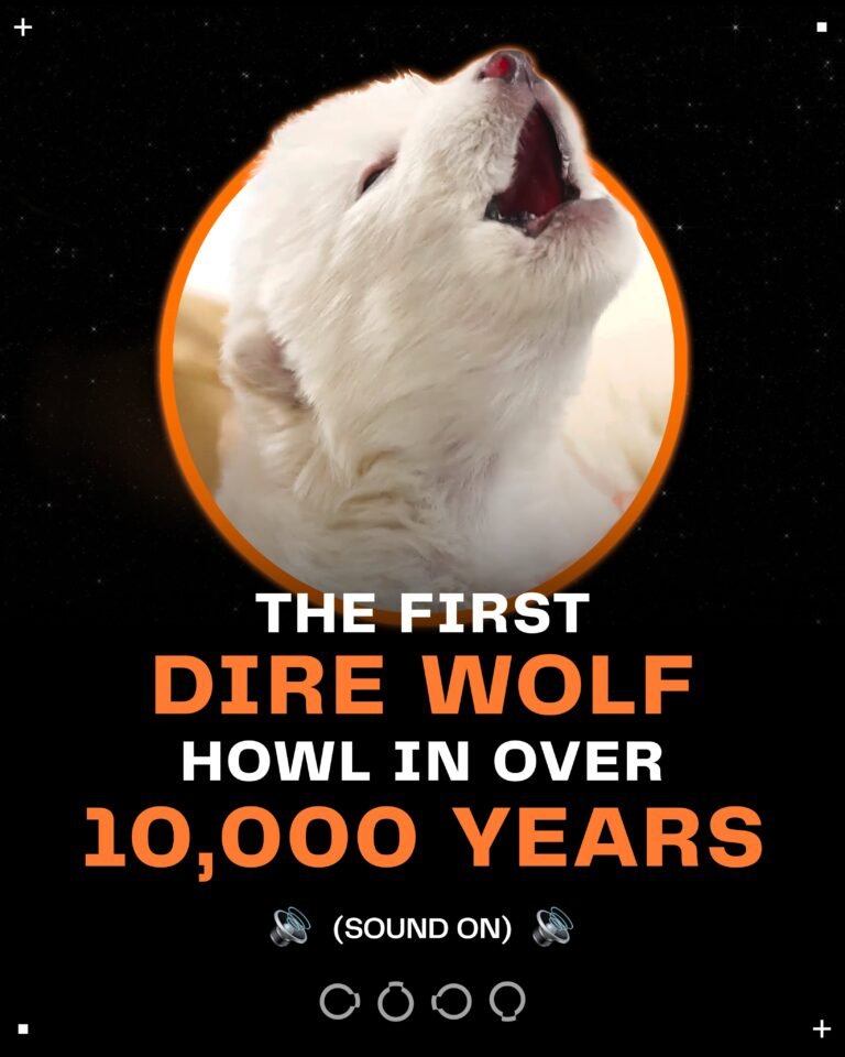20250914_185530