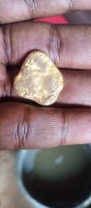 IMG_20240926_122012_443