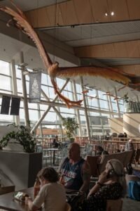 0xp-nzexodus-pcjm-mobileMasterAt3x