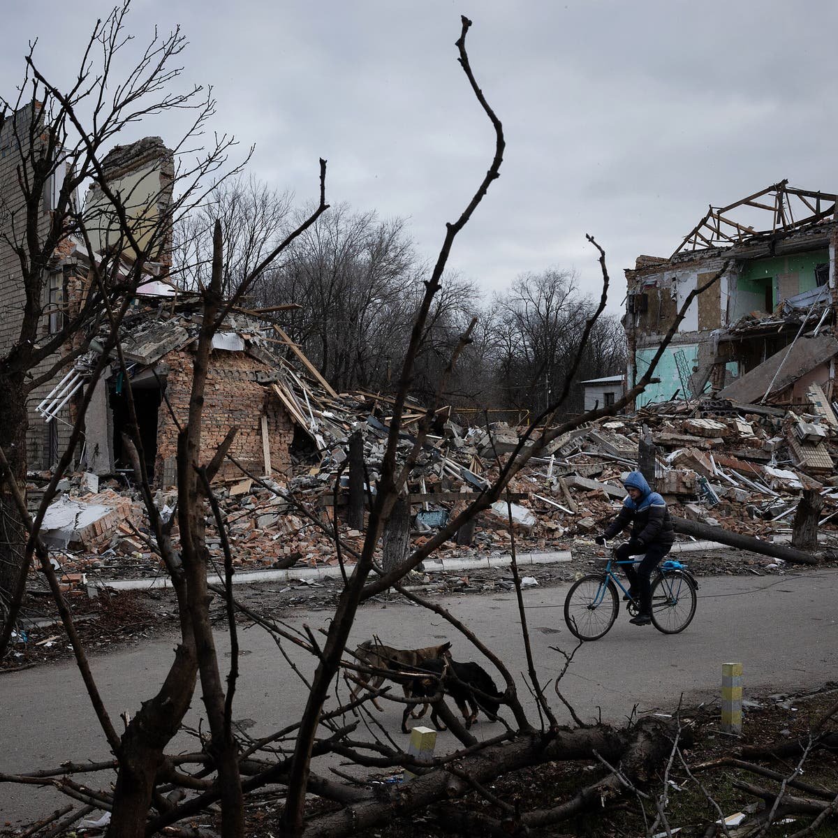 19int-ukraine-blackrock-vtpc-mobileMasterAt3x