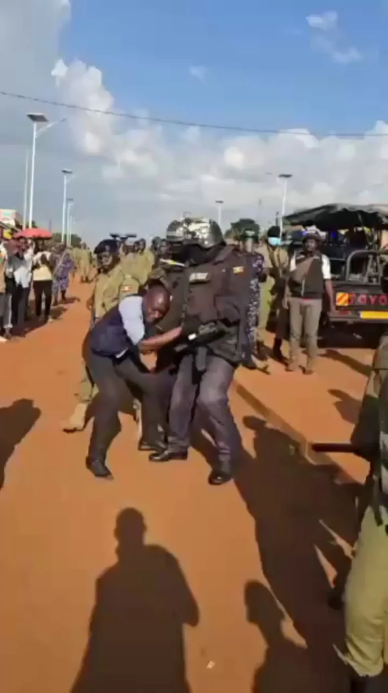 vlcsnap-2026-01-05-19h22m08s250