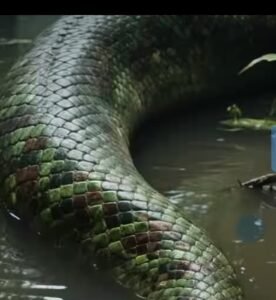 Screenshot_20260222-064434_1