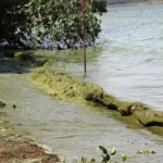 f9d42d5a-971f-4ff6-ae30-6a87b61f9135