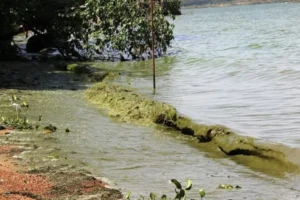 f9d42d5a-971f-4ff6-ae30-6a87b61f9135