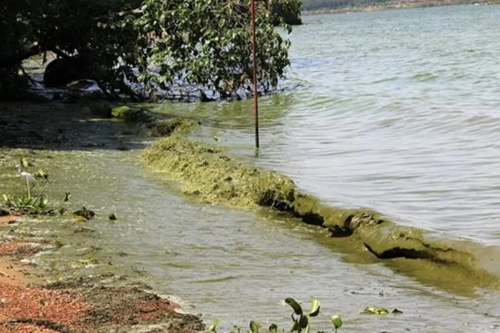 f9d42d5a-971f-4ff6-ae30-6a87b61f9135