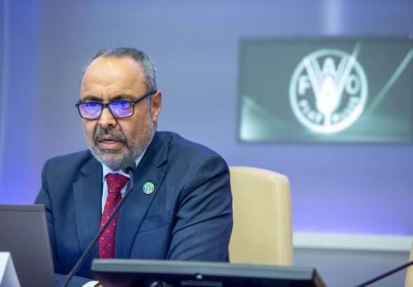 Boubaker Ben-Belhassen is Director of the Markets and Trade Division at the Food and Agriculture Organization of the United Nations (FAO).