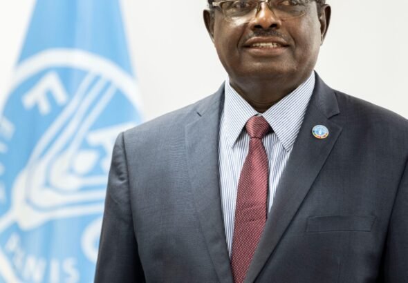FAO Assistant Director-General and Regional Representative for Africa Abebe Haile-Gabriel